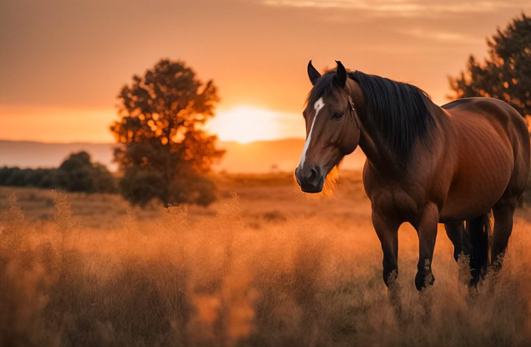 Preparing horses for Dubai Racing Carnival: Energy, diet, hydration and big races